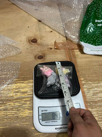 Thumbnail for Trendy Labubu Mini Car Dashboard ( Pack of 4 )