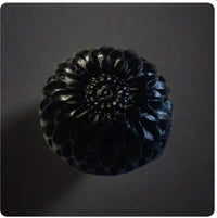 Thumbnail for Charcoal Soaps 🌸🌸🌸